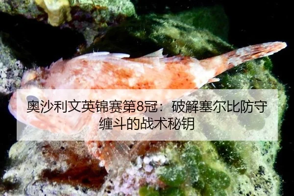 ao-sha-li-wen-ying-jin-sai-di-guan-po-jie-sai-er-bi-fang-shou-chan-dou-de-zhan-shu-mi-yao-2-317.jpg
