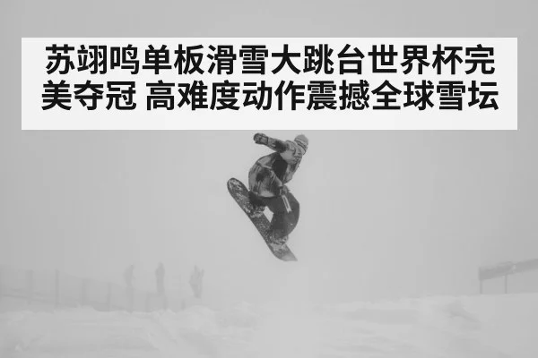 苏翊鸣单板滑雪大跳台世界杯完美夺冠 高难度动作震撼全球雪坛