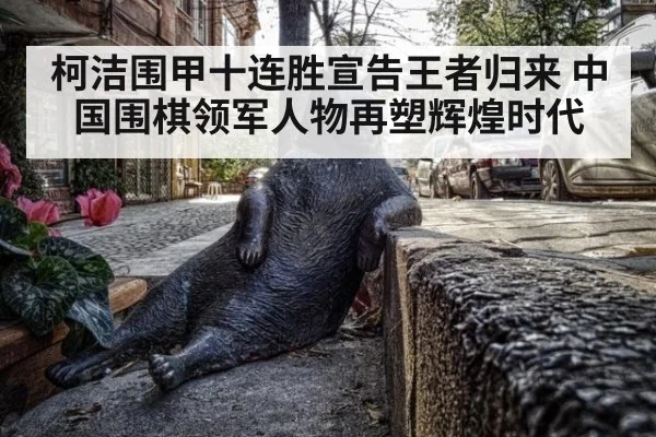 柯洁围甲十连胜宣告王者归来 中国围棋领军人物再塑辉煌时代