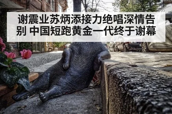 谢震业苏炳添接力绝唱深情告别 中国短跑黄金一代终于谢幕